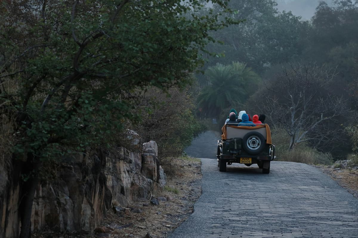 Tourists in an open gypsy jeep on a guided tiger safari in Ranthambore forest